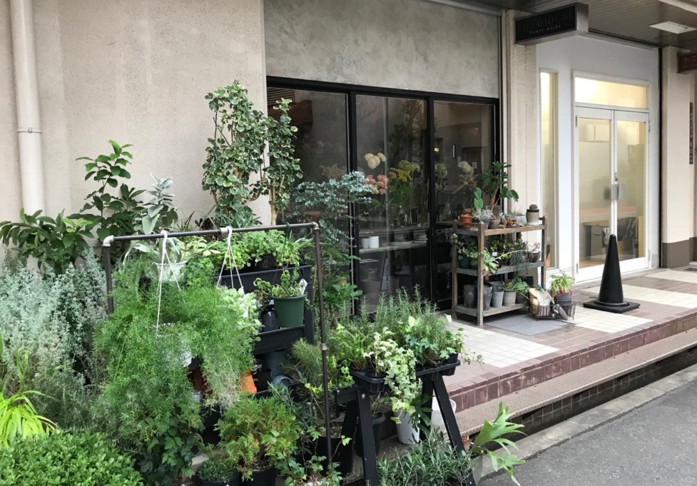 大阪で 気になっていたお花屋さんに行ってきました コラム一覧 Gui Flower Design